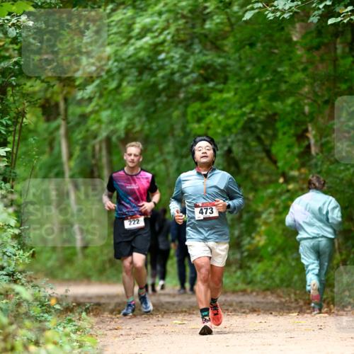 11.10.2026 - Bramfelder Halbmarathon 2026 Dr. Thomas Lammeyer http://msf.ph/oto/10826129 11.10.2026 10:53:37 Laufen 473, 222 meine-sportfotos.de