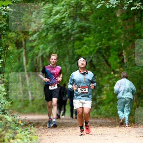 11.10.2026 - Bramfelder Halbmarathon 2026 Dr. Thomas Lammeyer http://msf.ph/oto/10826130 11.10.2026 10:53:37 Laufen 222, 473 meine-sportfotos.de