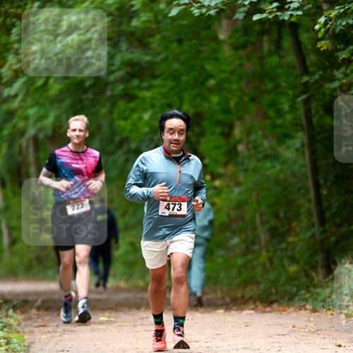 11.10.2026 - Bramfelder Halbmarathon 2026 Dr. Thomas Lammeyer http://msf.ph/oto/10826139 11.10.2026 10:53:39 Laufen 222, 473, 204 meine-sportfotos.de