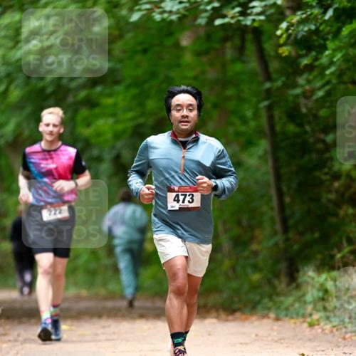 11.10.2026 - Bramfelder Halbmarathon 2026 Dr. Thomas Lammeyer http://msf.ph/oto/10826146 11.10.2026 10:53:40 Laufen 473, 284 meine-sportfotos.de