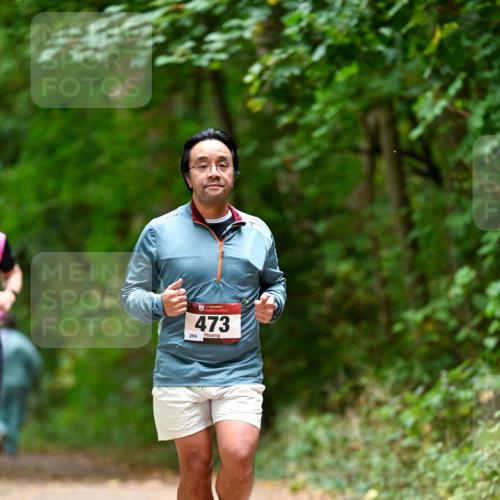 11.10.2026 - Bramfelder Halbmarathon 2026 Dr. Thomas Lammeyer http://msf.ph/oto/10826153 11.10.2026 10:53:41 Laufen 473, 284 meine-sportfotos.de