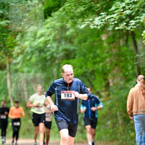 11.10.2026 - Bramfelder Halbmarathon 2026 Dr. Thomas Lammeyer http://msf.ph/oto/10826196 11.10.2026 10:54:05 Laufen 193 meine-sportfotos.de