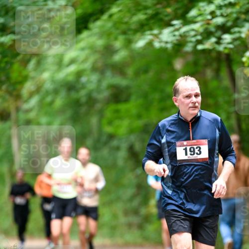 11.10.2026 - Bramfelder Halbmarathon 2026 Dr. Thomas Lammeyer http://msf.ph/oto/10826208 11.10.2026 10:54:07 Laufen 193 meine-sportfotos.de