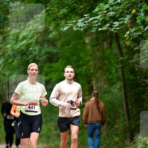 11.10.2026 - Bramfelder Halbmarathon 2026 Dr. Thomas Lammeyer http://msf.ph/oto/10826218 11.10.2026 10:54:10 Laufen 441 meine-sportfotos.de