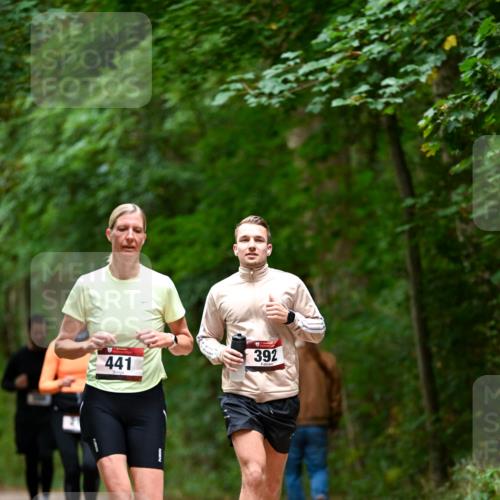 11.10.2026 - Bramfelder Halbmarathon 2026 Dr. Thomas Lammeyer http://msf.ph/oto/10826221 11.10.2026 10:54:11 Laufen 441, 392 meine-sportfotos.de