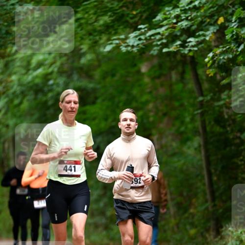 11.10.2026 - Bramfelder Halbmarathon 2026 Dr. Thomas Lammeyer http://msf.ph/oto/10826222 11.10.2026 10:54:11 Laufen 441, 92 meine-sportfotos.de