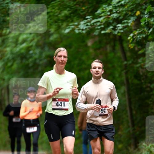 11.10.2026 - Bramfelder Halbmarathon 2026 Dr. Thomas Lammeyer http://msf.ph/oto/10826225 11.10.2026 10:54:12 Laufen 213, 441, 92 meine-sportfotos.de