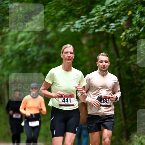 11.10.2026 - Bramfelder Halbmarathon 2026 Dr. Thomas Lammeyer http://msf.ph/oto/10826227 11.10.2026 10:54:12 Laufen 441, 392 meine-sportfotos.de