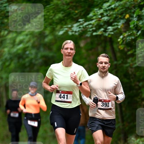 11.10.2026 - Bramfelder Halbmarathon 2026 Dr. Thomas Lammeyer http://msf.ph/oto/10826228 11.10.2026 10:54:12 Laufen 441, 392 meine-sportfotos.de