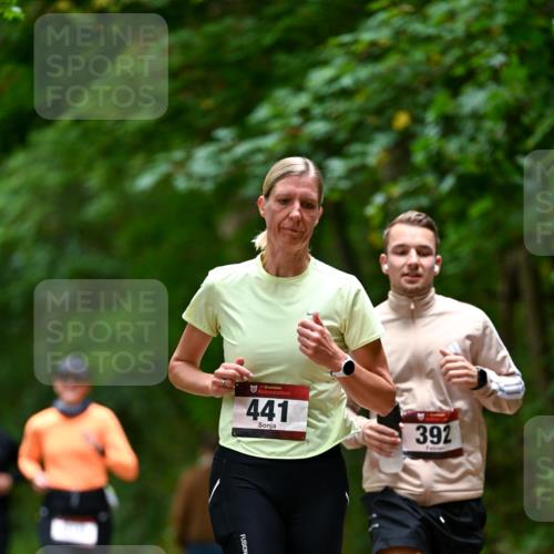 11.10.2026 - Bramfelder Halbmarathon 2026 Dr. Thomas Lammeyer http://msf.ph/oto/10826233 11.10.2026 10:54:13 Laufen 35, 441, 392 meine-sportfotos.de