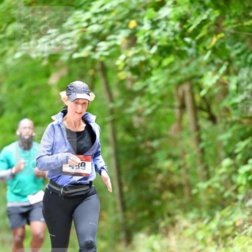 11.10.2026 - Bramfelder Halbmarathon 2026 Dr. Thomas Lammeyer http://msf.ph/oto/10826325 11.10.2026 10:55:07 Laufen 39 meine-sportfotos.de