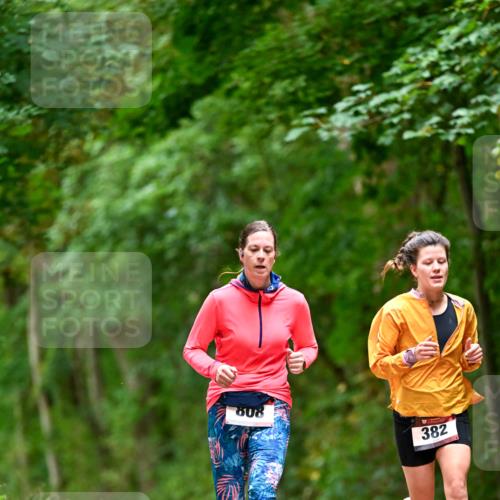 11.10.2026 - Bramfelder Halbmarathon 2026 Dr. Thomas Lammeyer http://msf.ph/oto/10826379 11.10.2026 10:55:32 Laufen 808, 382 meine-sportfotos.de