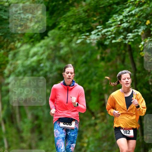 11.10.2026 - Bramfelder Halbmarathon 2026 Dr. Thomas Lammeyer http://msf.ph/oto/10826380 11.10.2026 10:55:32 Laufen 382, 900 meine-sportfotos.de