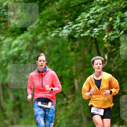 11.10.2026 - Bramfelder Halbmarathon 2026 Dr. Thomas Lammeyer http://msf.ph/oto/10826382 11.10.2026 10:55:32 Laufen 382, 808 meine-sportfotos.de