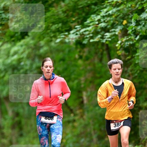 11.10.2026 - Bramfelder Halbmarathon 2026 Dr. Thomas Lammeyer http://msf.ph/oto/10826383 11.10.2026 10:55:32 Laufen 008, 382 meine-sportfotos.de