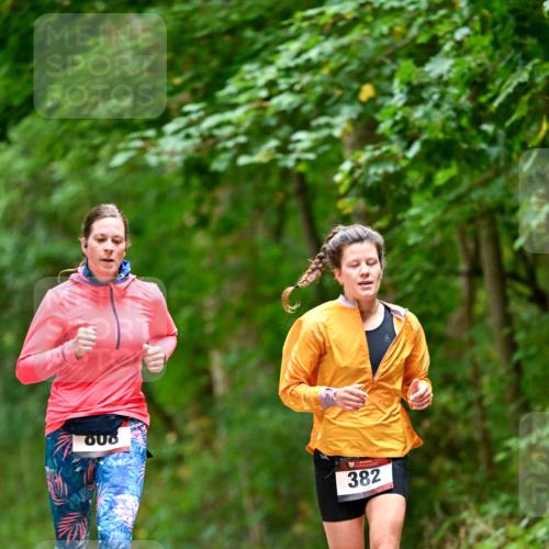 11.10.2026 - Bramfelder Halbmarathon 2026 Dr. Thomas Lammeyer http://msf.ph/oto/10826384 11.10.2026 10:55:32 Laufen 909, 382 meine-sportfotos.de
