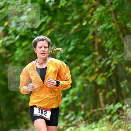11.10.2026 - Bramfelder Halbmarathon 2026 Dr. Thomas Lammeyer http://msf.ph/oto/10826388 11.10.2026 10:55:33 Laufen 382 meine-sportfotos.de