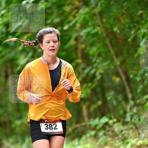 11.10.2026 - Bramfelder Halbmarathon 2026 Dr. Thomas Lammeyer http://msf.ph/oto/10826391 11.10.2026 10:55:34 Laufen 35, 382 meine-sportfotos.de
