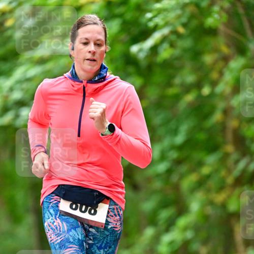 11.10.2026 - Bramfelder Halbmarathon 2026 Dr. Thomas Lammeyer http://msf.ph/oto/10826396 11.10.2026 10:55:35 Laufen  meine-sportfotos.de
