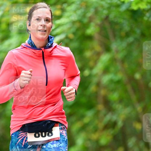 11.10.2026 - Bramfelder Halbmarathon 2026 Dr. Thomas Lammeyer http://msf.ph/oto/10826399 11.10.2026 10:55:35 Laufen  meine-sportfotos.de