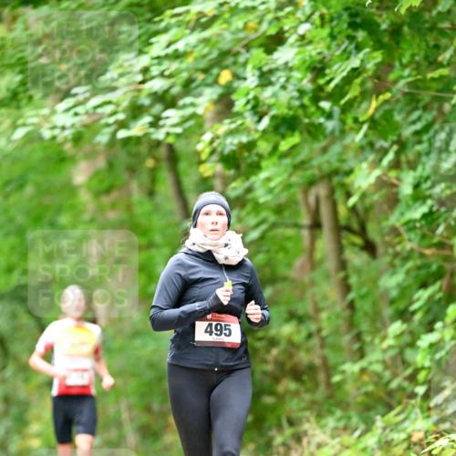 11.10.2026 - Bramfelder Halbmarathon 2026 Dr. Thomas Lammeyer http://msf.ph/oto/10826418 11.10.2026 10:55:54 Laufen 495 meine-sportfotos.de