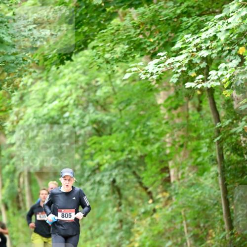 11.10.2026 - Bramfelder Halbmarathon 2026 Dr. Thomas Lammeyer http://msf.ph/oto/10826448 11.10.2026 10:56:20 Laufen 805 meine-sportfotos.de