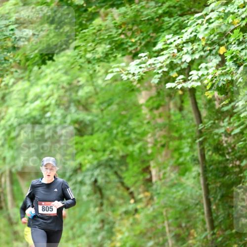 11.10.2026 - Bramfelder Halbmarathon 2026 Dr. Thomas Lammeyer http://msf.ph/oto/10826454 11.10.2026 10:56:21 Laufen 805 meine-sportfotos.de
