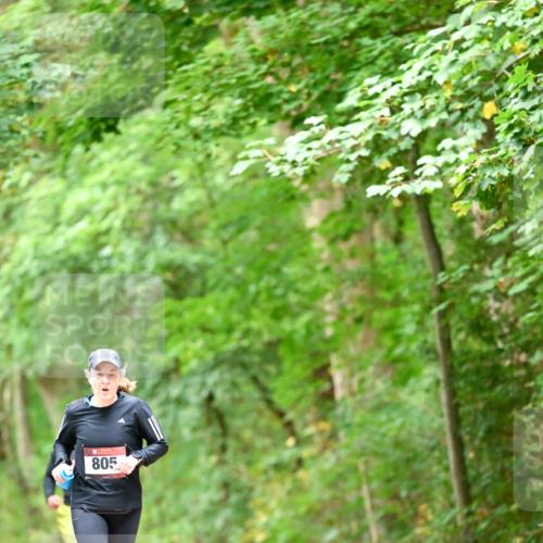 11.10.2026 - Bramfelder Halbmarathon 2026 Dr. Thomas Lammeyer http://msf.ph/oto/10826455 11.10.2026 10:56:21 Laufen 805 meine-sportfotos.de