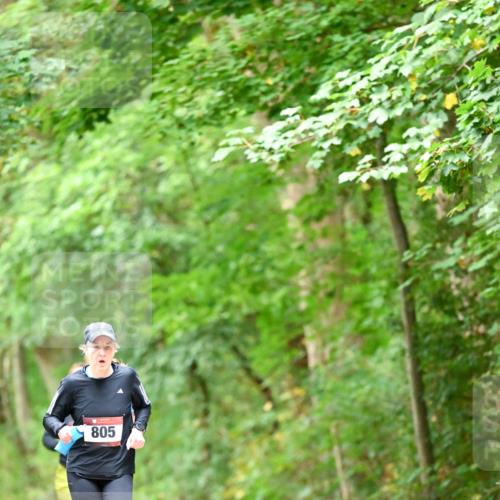 11.10.2026 - Bramfelder Halbmarathon 2026 Dr. Thomas Lammeyer http://msf.ph/oto/10826456 11.10.2026 10:56:21 Laufen 805 meine-sportfotos.de
