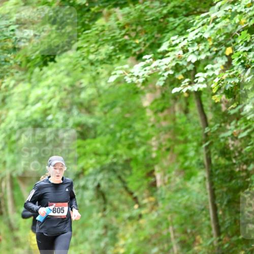 11.10.2026 - Bramfelder Halbmarathon 2026 Dr. Thomas Lammeyer http://msf.ph/oto/10826457 11.10.2026 10:56:21 Laufen 805 meine-sportfotos.de