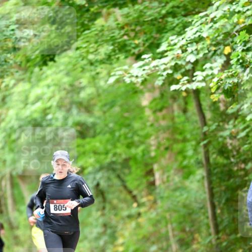 11.10.2026 - Bramfelder Halbmarathon 2026 Dr. Thomas Lammeyer http://msf.ph/oto/10826460 11.10.2026 10:56:22 Laufen 805 meine-sportfotos.de