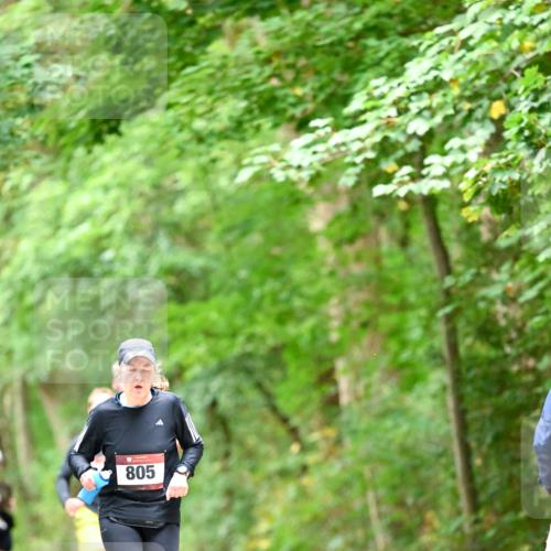 11.10.2026 - Bramfelder Halbmarathon 2026 Dr. Thomas Lammeyer http://msf.ph/oto/10826461 11.10.2026 10:56:22 Laufen 805 meine-sportfotos.de