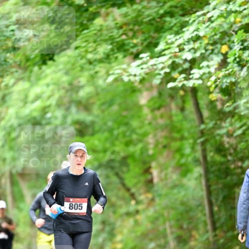 11.10.2026 - Bramfelder Halbmarathon 2026 Dr. Thomas Lammeyer http://msf.ph/oto/10826464 11.10.2026 10:56:22 Laufen 805 meine-sportfotos.de