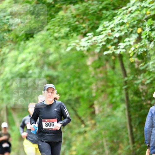 11.10.2026 - Bramfelder Halbmarathon 2026 Dr. Thomas Lammeyer http://msf.ph/oto/10826466 11.10.2026 10:56:22 Laufen 805 meine-sportfotos.de