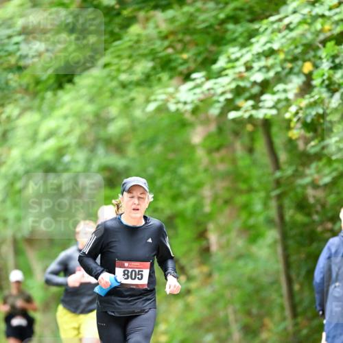 11.10.2026 - Bramfelder Halbmarathon 2026 Dr. Thomas Lammeyer http://msf.ph/oto/10826469 11.10.2026 10:56:23 Laufen 805 meine-sportfotos.de