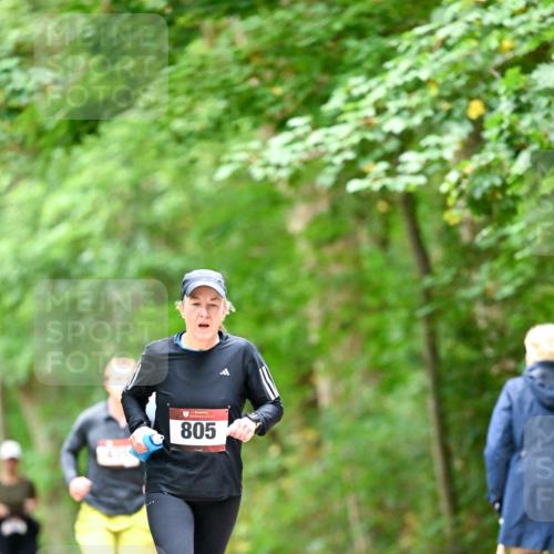 11.10.2026 - Bramfelder Halbmarathon 2026 Dr. Thomas Lammeyer http://msf.ph/oto/10826470 11.10.2026 10:56:23 Laufen 805 meine-sportfotos.de