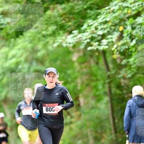11.10.2026 - Bramfelder Halbmarathon 2026 Dr. Thomas Lammeyer http://msf.ph/oto/10826471 11.10.2026 10:56:23 Laufen 8054 meine-sportfotos.de