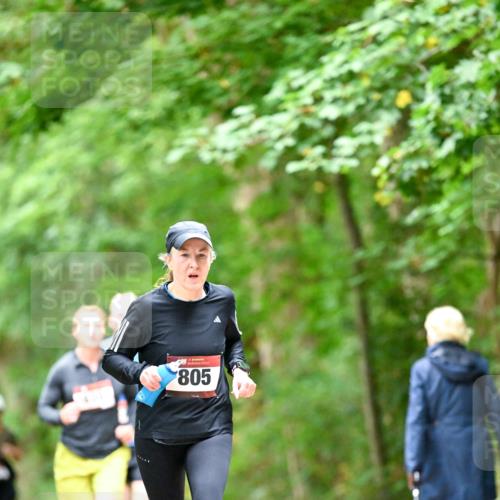 11.10.2026 - Bramfelder Halbmarathon 2026 Dr. Thomas Lammeyer http://msf.ph/oto/10826473 11.10.2026 10:56:23 Laufen 805 meine-sportfotos.de