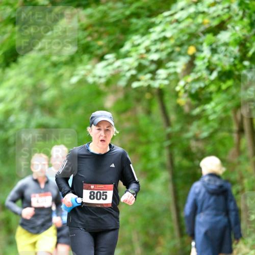 11.10.2026 - Bramfelder Halbmarathon 2026 Dr. Thomas Lammeyer http://msf.ph/oto/10826475 11.10.2026 10:56:24 Laufen 15, 805 meine-sportfotos.de