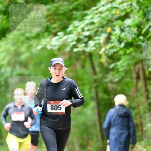 11.10.2026 - Bramfelder Halbmarathon 2026 Dr. Thomas Lammeyer http://msf.ph/oto/10826476 11.10.2026 10:56:24 Laufen 805 meine-sportfotos.de