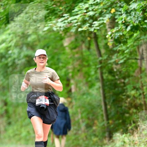 11.10.2026 - Bramfelder Halbmarathon 2026 Dr. Thomas Lammeyer http://msf.ph/oto/10826501 11.10.2026 10:56:32 Laufen 560 meine-sportfotos.de