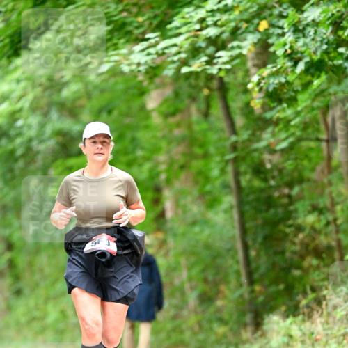 11.10.2026 - Bramfelder Halbmarathon 2026 Dr. Thomas Lammeyer http://msf.ph/oto/10826502 11.10.2026 10:56:32 Laufen  meine-sportfotos.de