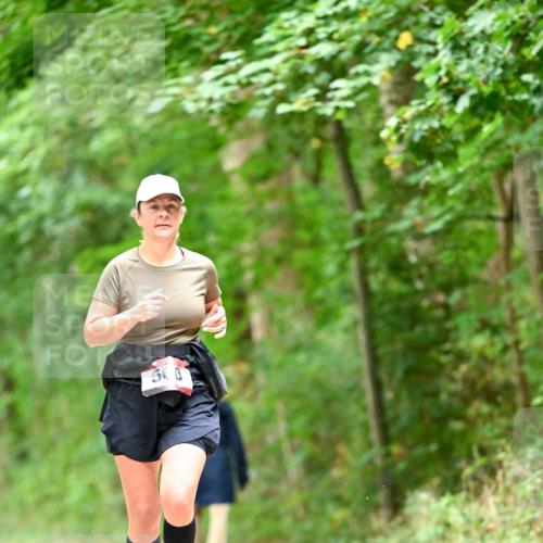 11.10.2026 - Bramfelder Halbmarathon 2026 Dr. Thomas Lammeyer http://msf.ph/oto/10826503 11.10.2026 10:56:32 Laufen 50 meine-sportfotos.de