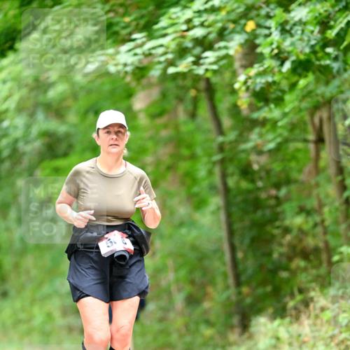 11.10.2026 - Bramfelder Halbmarathon 2026 Dr. Thomas Lammeyer http://msf.ph/oto/10826505 11.10.2026 10:56:32 Laufen  meine-sportfotos.de