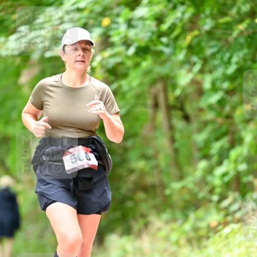 11.10.2026 - Bramfelder Halbmarathon 2026 Dr. Thomas Lammeyer http://msf.ph/oto/10826516 11.10.2026 10:56:34 Laufen 500 meine-sportfotos.de