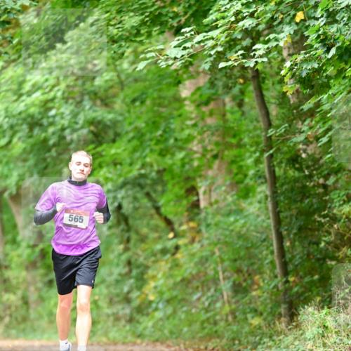 11.10.2026 - Bramfelder Halbmarathon 2026 Dr. Thomas Lammeyer http://msf.ph/oto/10826519 11.10.2026 10:56:58 Laufen 565 meine-sportfotos.de