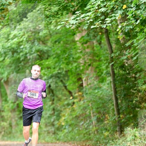 11.10.2026 - Bramfelder Halbmarathon 2026 Dr. Thomas Lammeyer http://msf.ph/oto/10826520 11.10.2026 10:56:58 Laufen 565 meine-sportfotos.de