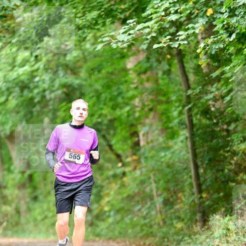 11.10.2026 - Bramfelder Halbmarathon 2026 Dr. Thomas Lammeyer http://msf.ph/oto/10826526 11.10.2026 10:56:59 Laufen 565 meine-sportfotos.de