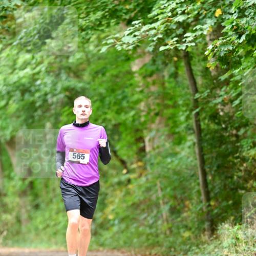 11.10.2026 - Bramfelder Halbmarathon 2026 Dr. Thomas Lammeyer http://msf.ph/oto/10826527 11.10.2026 10:56:59 Laufen 565 meine-sportfotos.de