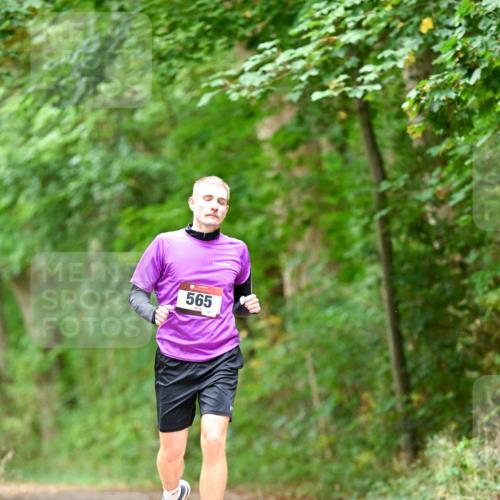 11.10.2026 - Bramfelder Halbmarathon 2026 Dr. Thomas Lammeyer http://msf.ph/oto/10826529 11.10.2026 10:57:00 Laufen 565 meine-sportfotos.de